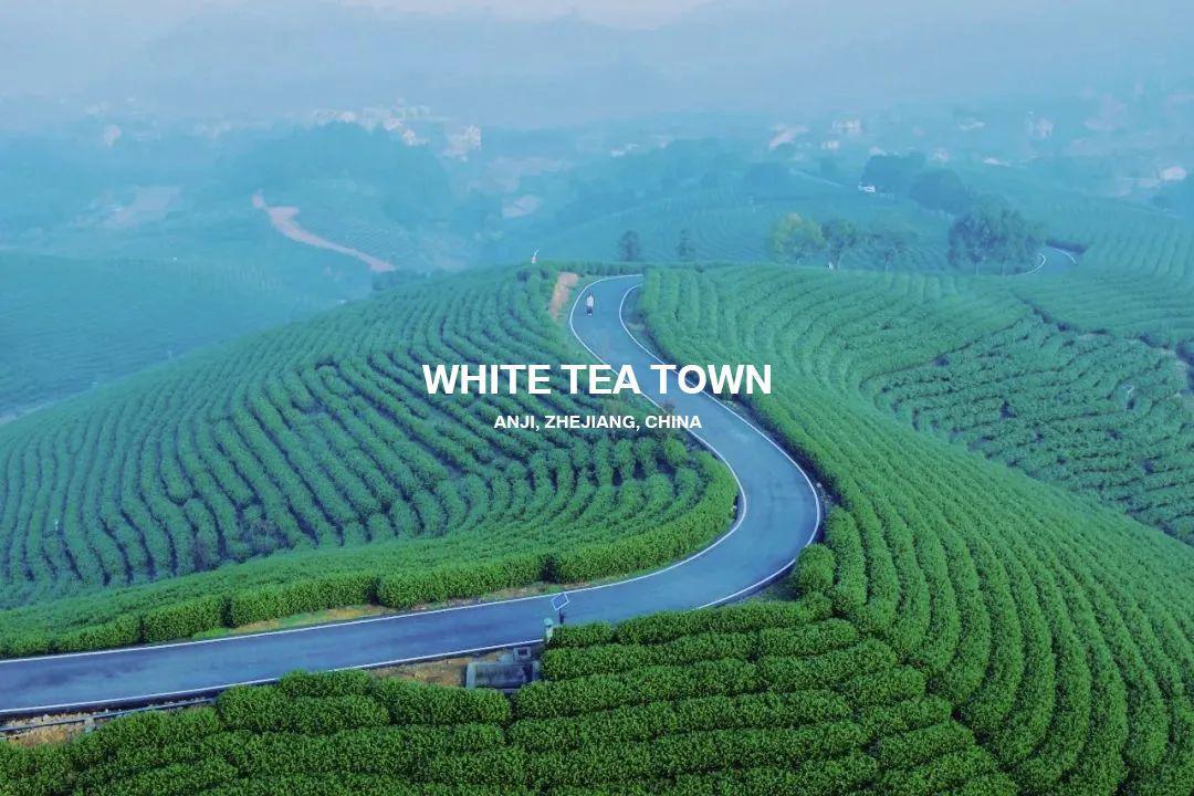万亩茶田里的“网红”茶室—安吉白茶小镇