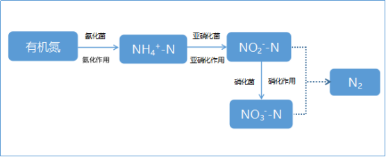 【方法】废水总氮稳定小于10mg/L的案例