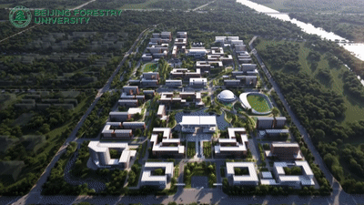 北京林业大学雄安校区总体规划方案发布