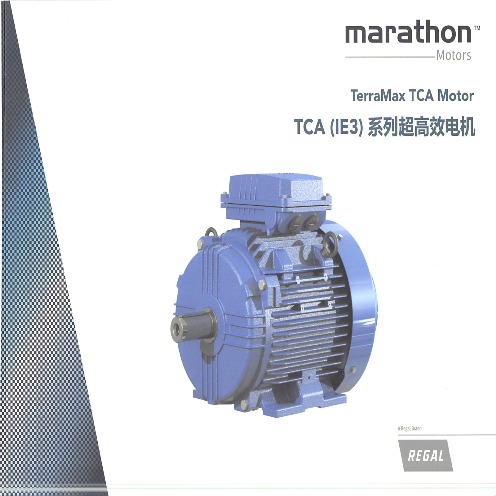 雷勃TCA（IE3）系列超高效电机